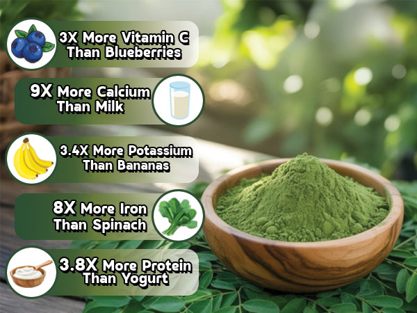 NUTRIROOTZ Organic Moringa Powder 100g | Drumstick Leaves Powder | Rich in Vitamins | Superfood For Immunity, Digestion & Energy | Helps With Weight Loss, Hair & Skin