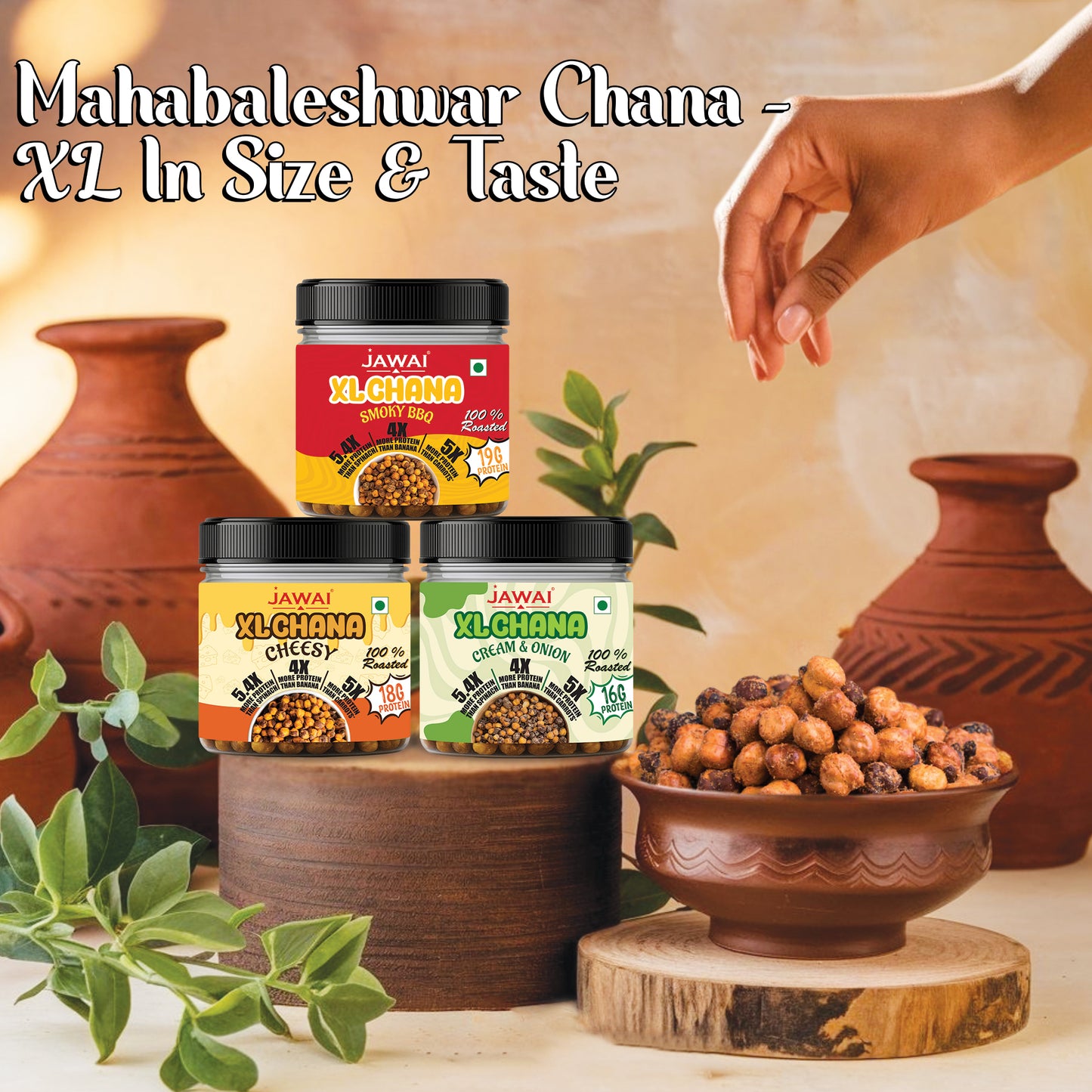 Roasted XL Chana - High Protein Snack | Roasted Snack | Healthy Snacks - 3 Flavor Assorted Pack (100 g each)